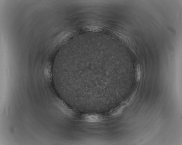 X0000115740181200911121544