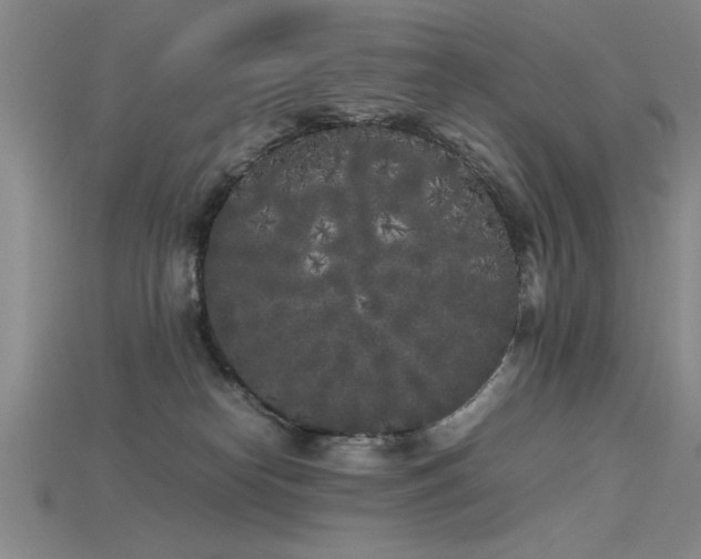 X0000115740182200911121544