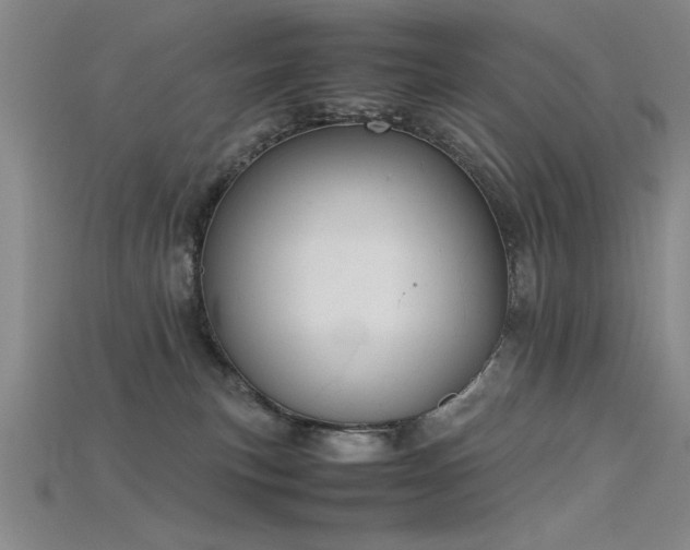 X0000115740183200911121544