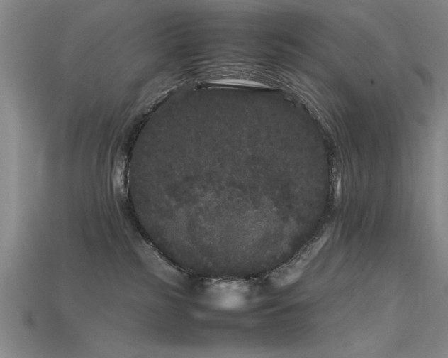 X0000115740185200911121544