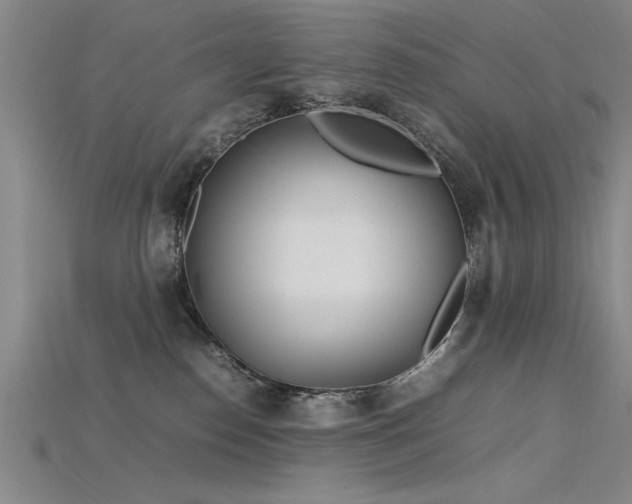 X0000115740186200911121544