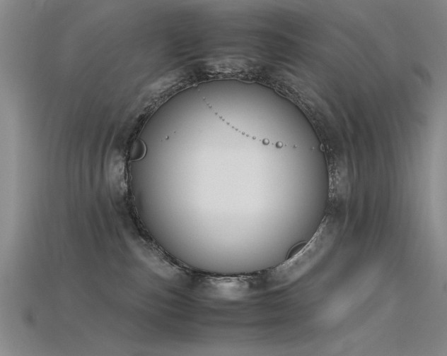 X0000115740187200911121544