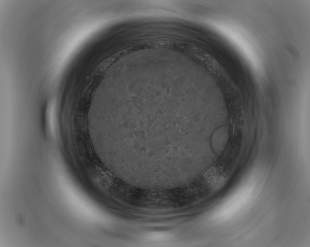 X0000115740189200911121544