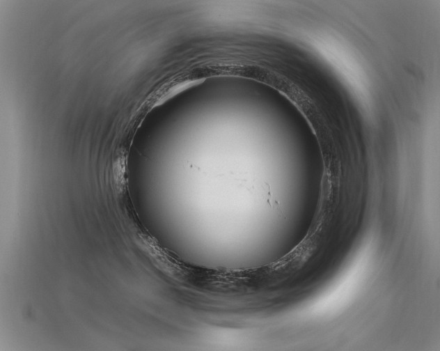 X0000115740190200911121545