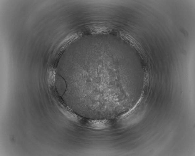 X0000115740191200911121545