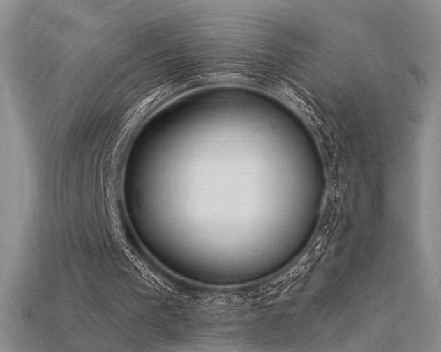 X0000115740193200911121544