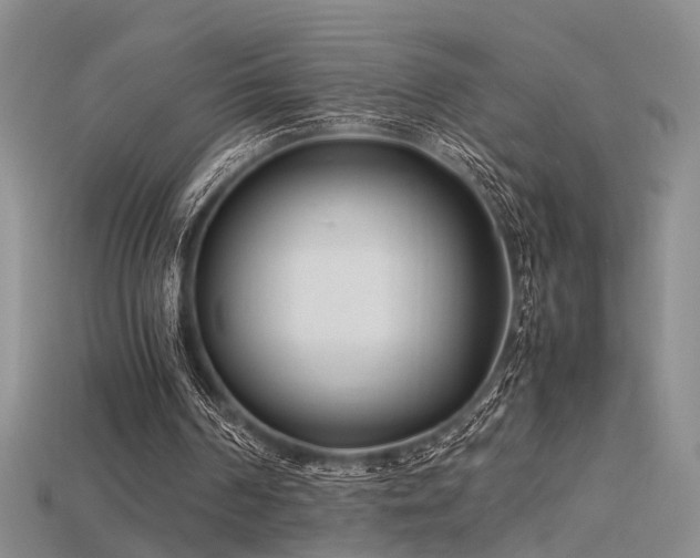 X0000115740194200911121544