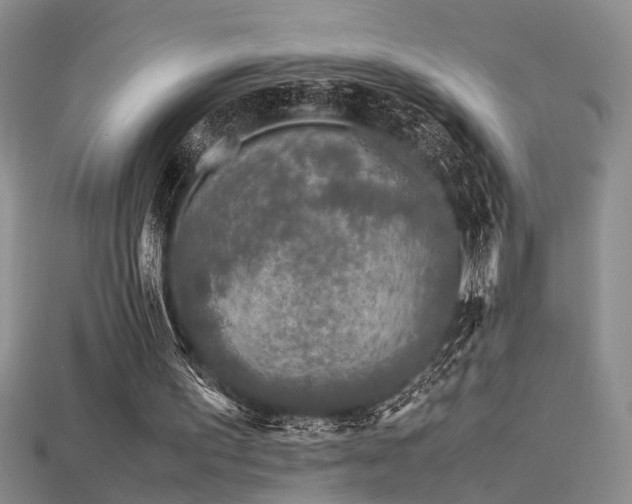 X0000115740195200911121544