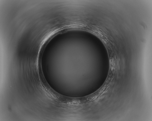 X0000115740196200911121544