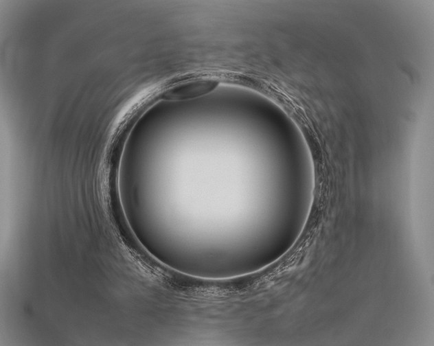 X0000115740197200911121544