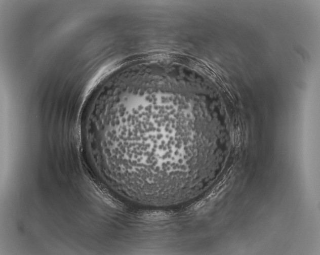 X0000115740198200911121544