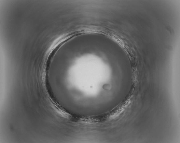 X0000115740199200911121544