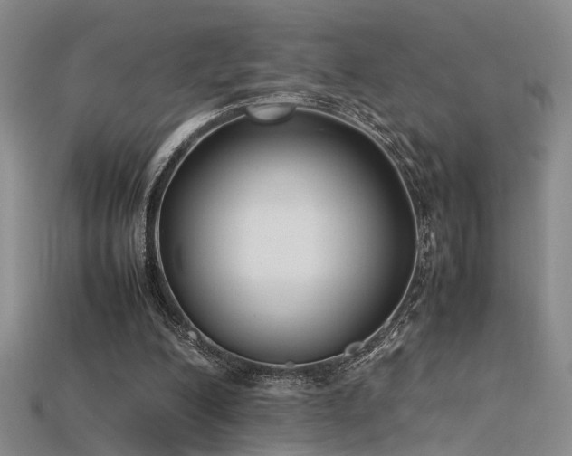 X0000115740200200911121544