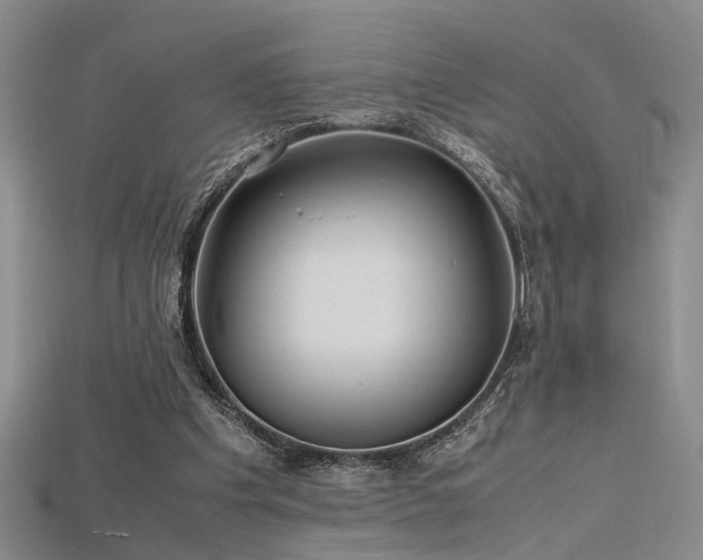 X0000115740201200911121544