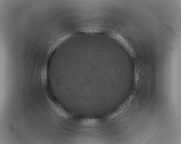 X0000115740202200911121544