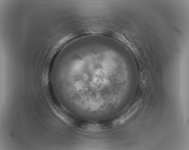 X0000115740203200911121544