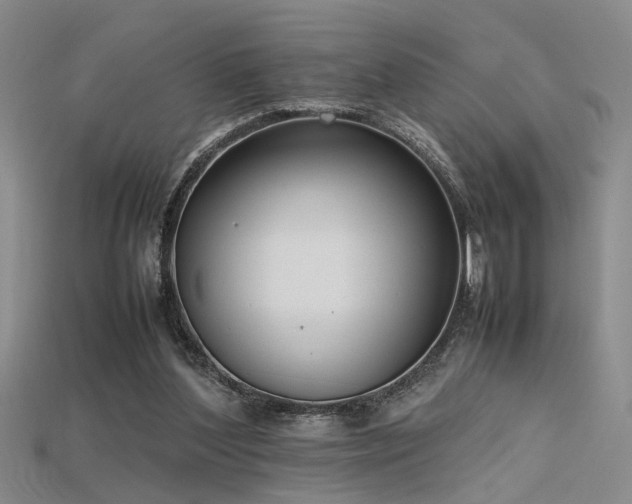 X0000115740204200911121544