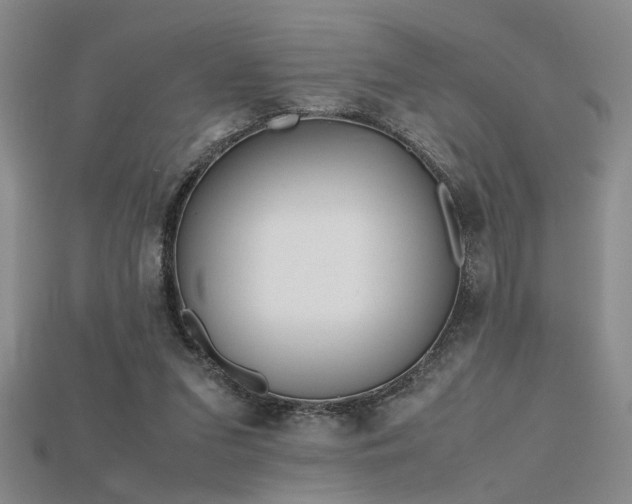 X0000115740207200911121544