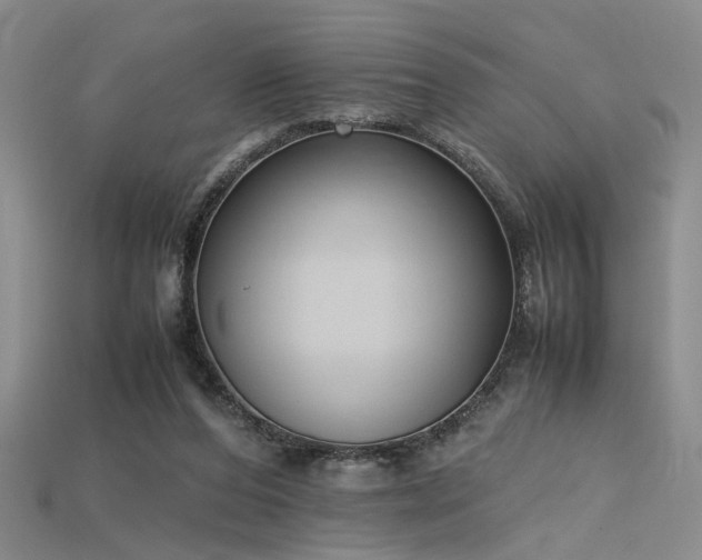 X0000115740208200911121544