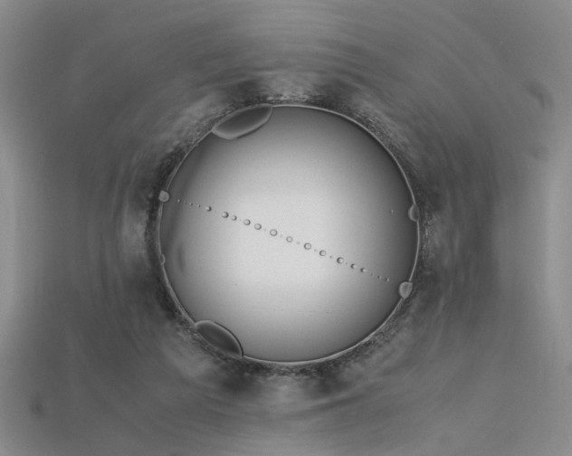 X0000115740209200911121544