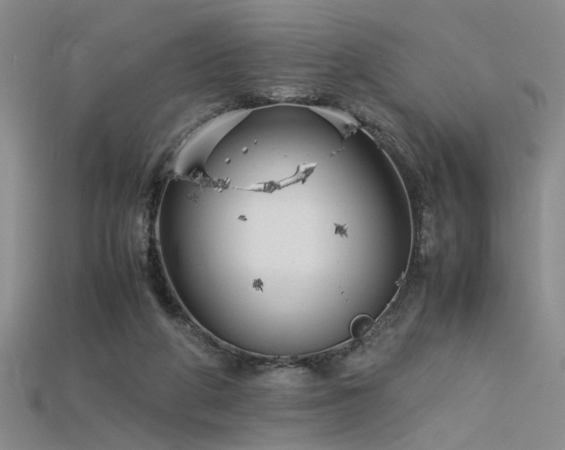 X0000115740210200911121544