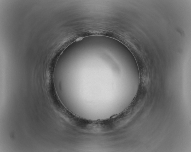 X0000115740211200911121544