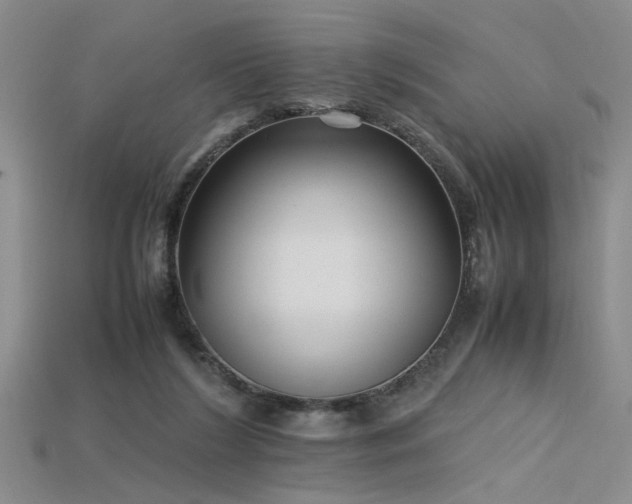 X0000115740212200911121544