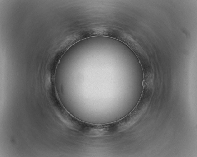 X0000115740213200911121544