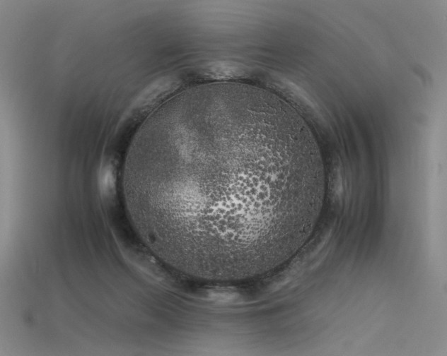 X0000115740214200911121544