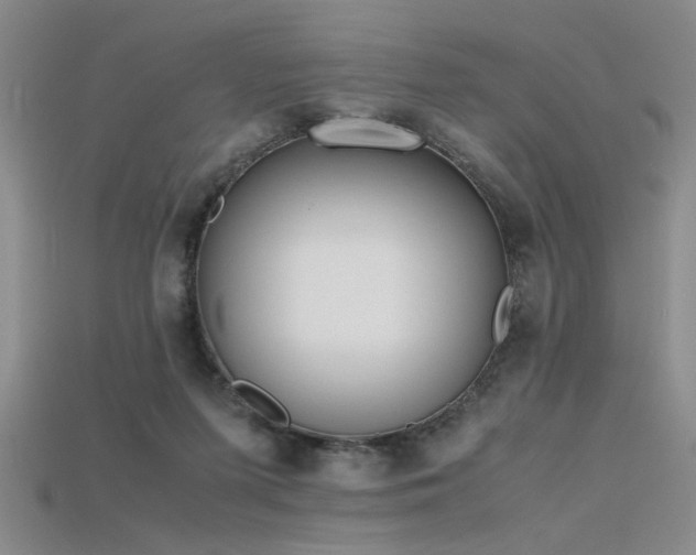 X0000115740215200911121544