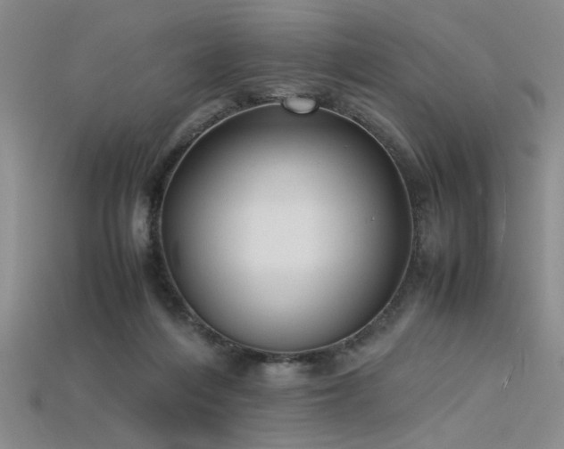 X0000115740216200911121544