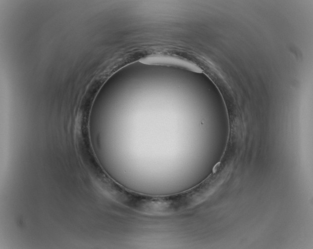 X0000115740217200911121544