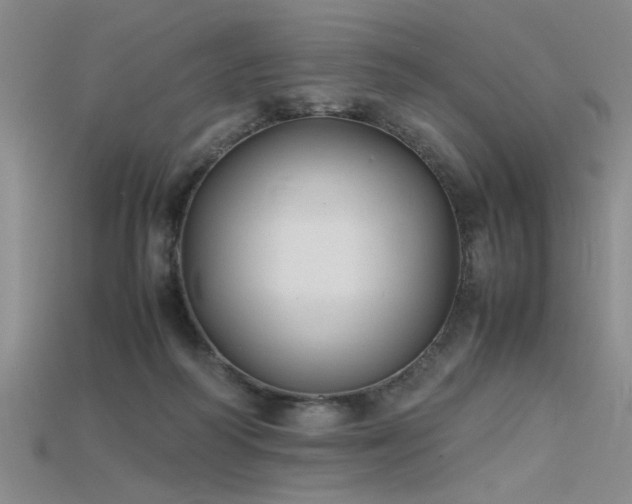 X0000115740218200911121544