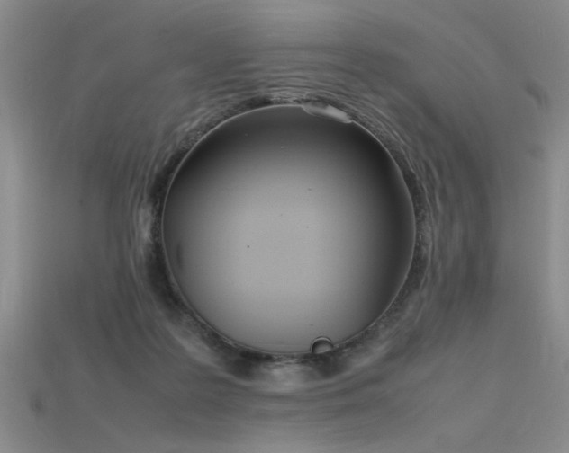 X0000115740219200911121544