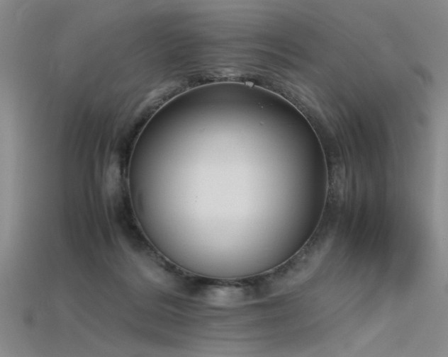 X0000115740220200911121544