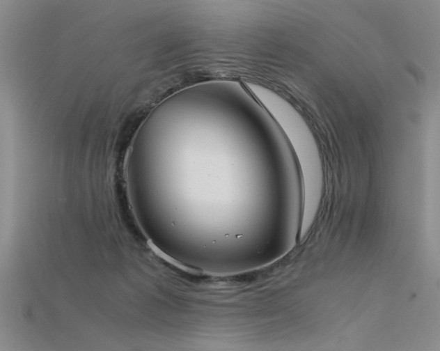 X0000115740221200911121544