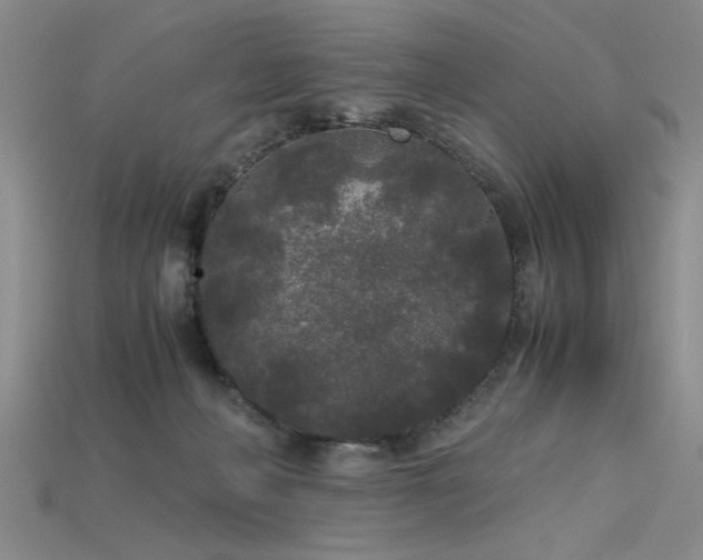 X0000115740222200911121544