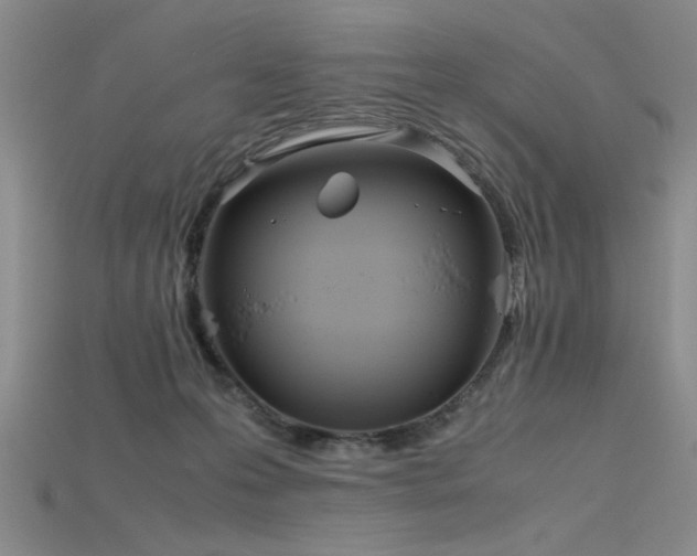 X0000115740223200911121544