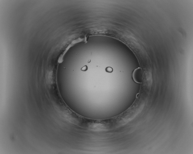 X0000115740224200911121544