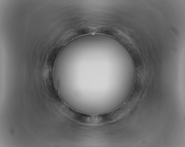 X0000115740225200911121544