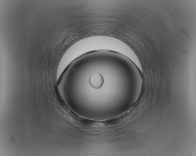 X0000115740227200911121543