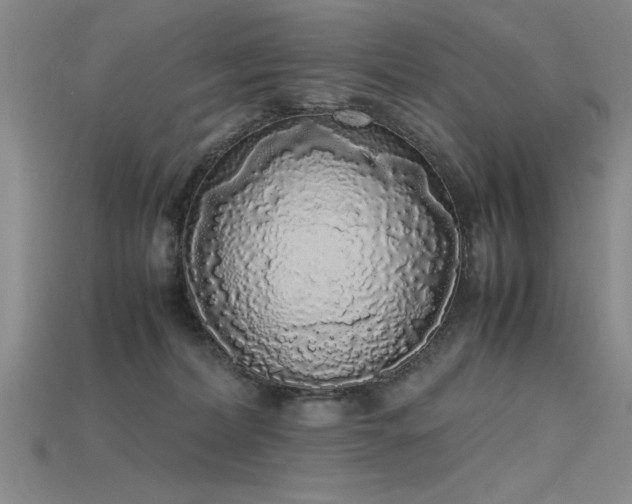 X0000115740228200911121543