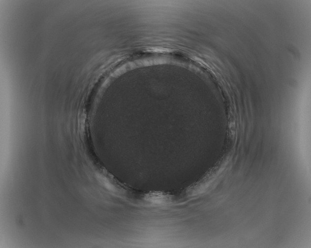 X0000115740231200911121543