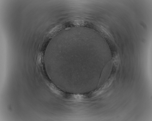 X0000115740233200911121543