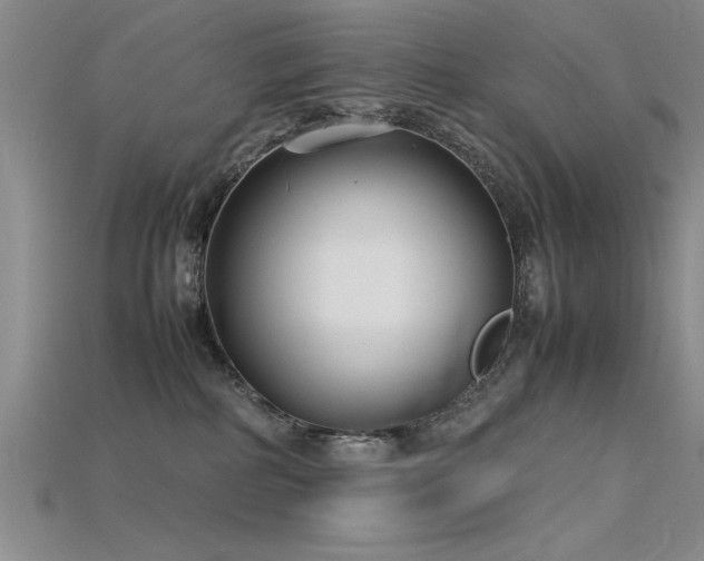 X0000115740234200911121543