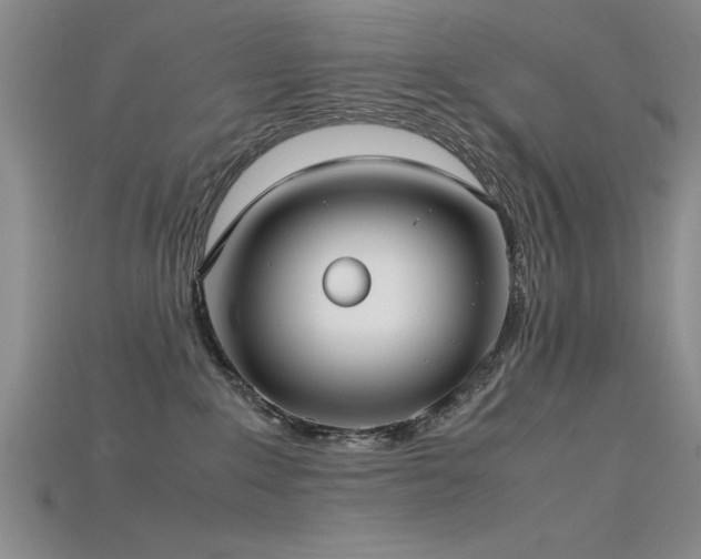 X0000115740235200911121543