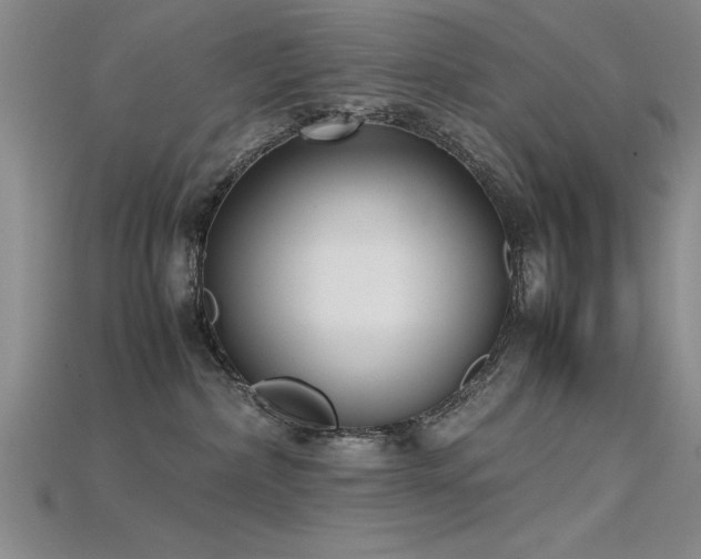 X0000115740236200911121543