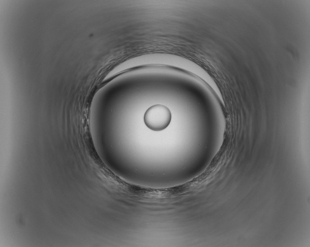 X0000115740237200911121543