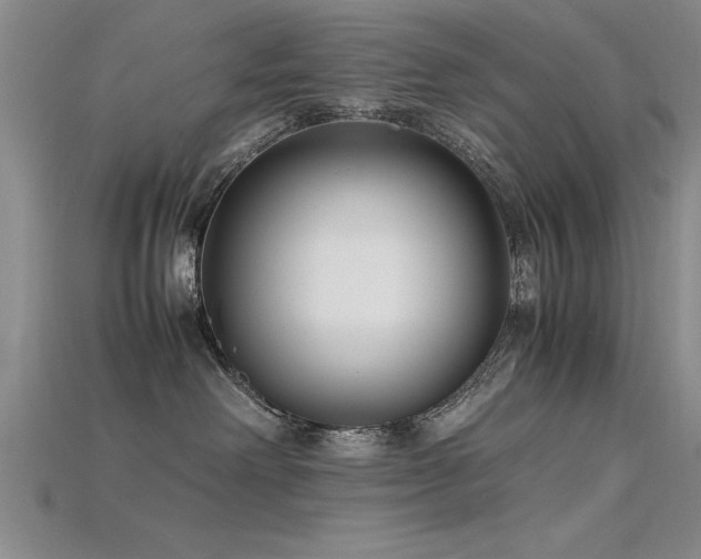 X0000115740238200911121543