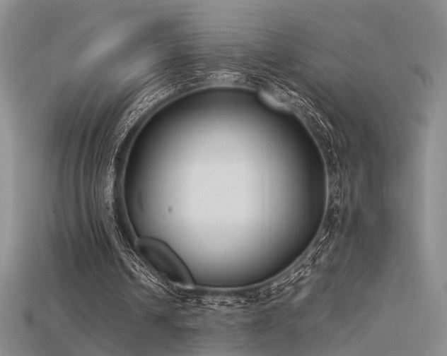 X0000115740242200911121543